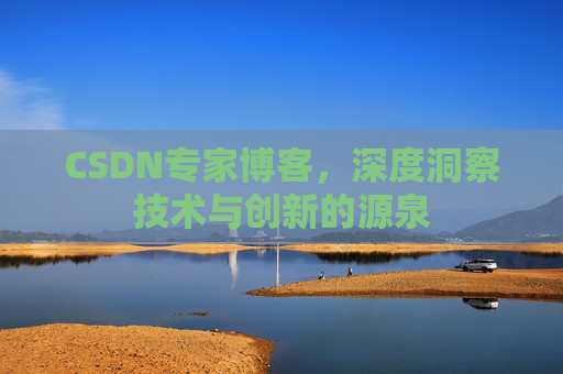 CSDN专家博客，深度洞察技术与创新的源泉